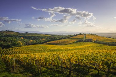 Gaiole in Chianti vineyard and panorama at sunset in autumn. Tuscany, Italy Europe. clipart