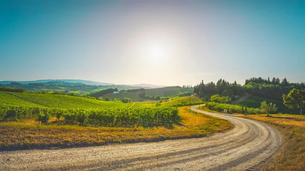 Vineyards Rural Road San Gimignano Countryside You Can See Towers — Stock Photo, Image