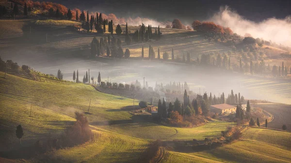 Mistige Ochtend Toscane Een Landhuis Een Weg Met Bomen Glooiende — Stockfoto