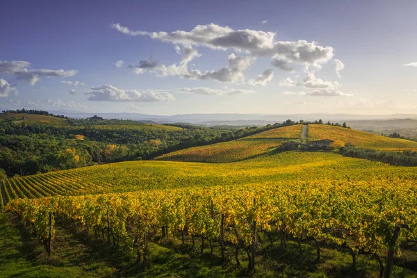 Gaiole Chianti Vineyard Panorama Sunset Autumn Tuscany Italy Europe — Stock Photo, Image