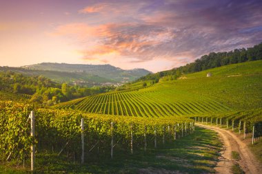 Langhe vineyards view at sunset, Barolo and La Morra villages in the background, Unesco World Heritage Site, Piedmont region. Italy, Europe. clipart