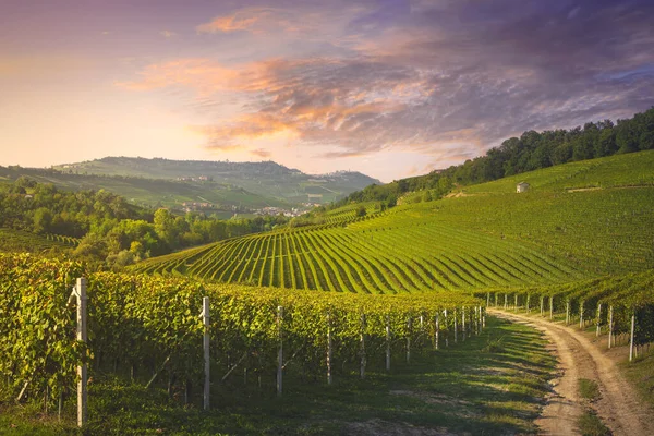 Langhe Wijngaarden Uitzicht Bij Zonsondergang Barolo Morra Dorpen Achtergrond Unesco Stockfoto