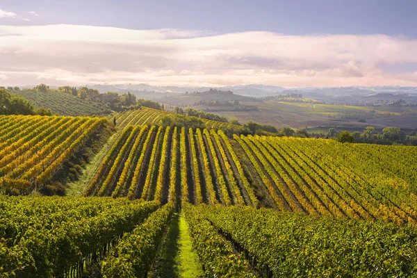 Краєвид Виноградників Кастеліні Янті Восени Тоскана Італія Ліцензійні Стокові Зображення