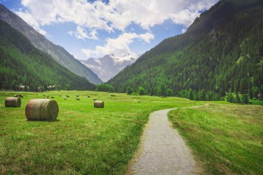 Prati di Sant 'Orso' daki dağ yolu. Soldaki yuvarlak balyalar ve arka plandaki büyük paradiso kitlesi. Cogne, Aosta Vadisi, İtalya