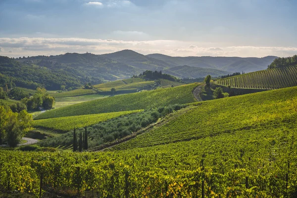 Radda in Chianti landscape, vineyards in autumn. Tuscany region, Italy Europe.
