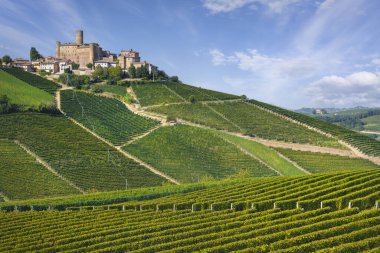 Langhe vineyards landscape and Castiglione Falletto village on the top of the hill, Unesco World Heritage Site, Piemonte region, Italy, Europe.