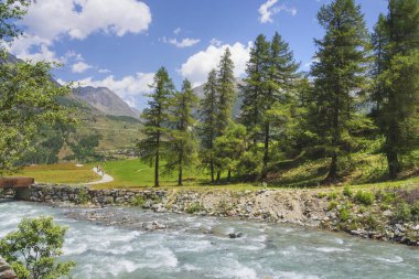 Prati di Sant 'Orso' daki yaz manzarası, İtalyan Alpleri. Bir dere, ağaçlar ve bir patika. Cogne, Aosta Vadisi, İtalya