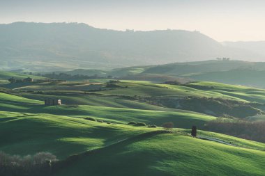 Tuscany 'de bahar, öğleden sonra tepeler ve buğday tarlaları. Pienza 'da manzara, Val d' Orcia, İtalya