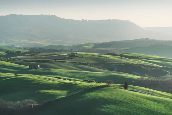 トスカーナの春は 午後遅くに丘や小麦畑を転がしました イタリア ヴァル ドルシアの風景 ロイヤリティフリーのストック画像