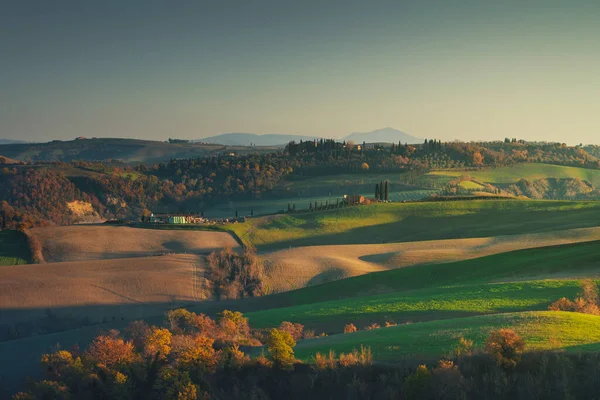 Girit Senesi, Ascanio, Siena, Toskana bölgesinde sonbahar kırsalları. İtalya, Avrupa.