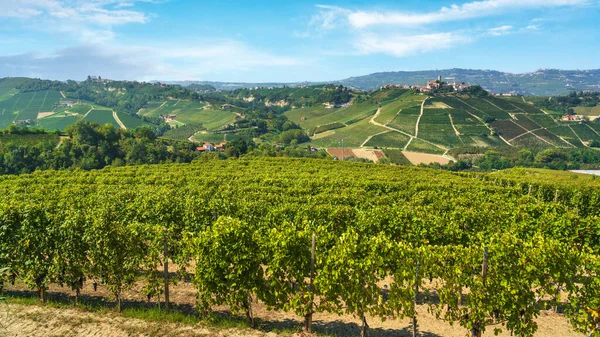 Langhe Vineyards Landscape Castiglione Falletto Village Top Hill Unesco World 图库照片