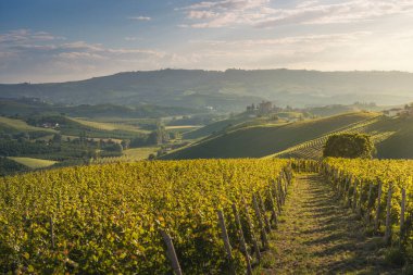 Langhe üzüm bağları panoramik manzara ve Grinzane Cavour kalesi arka planda Unesco Dünya Mirası Alanı, Piedmont bölgesi, İtalya