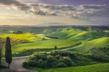 Kırsal alan, yuvarlak tepeler, kırsal yol ve gün batımında yeşil alanlar. Volterra, Toskana bölgesi, İtalya, Avrupa