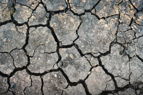 干旱使土壤开裂 全球环境变暖的摄影背景 免版税图库图片
