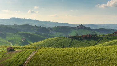 Langhe üzüm bağları manzarası ve tepenin üstündeki Castiglione Falletto köyü, Unesco Dünya Mirası Alanı, Piemonte bölgesi, İtalya, Avrupa.