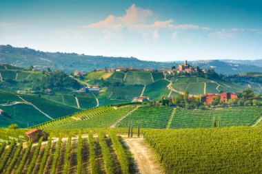 Langhe tepeleri ve üzüm bağları manzarası. Castiglione Falletto. Unesco Sitesi, Piedmont bölgesi, İtalya Avrupa.