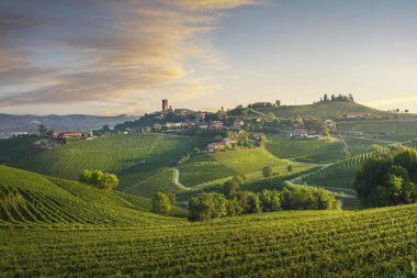 Barbaresco köyü ve Langhe üzüm bağları, Unesco Sitesi, Piedmont, Kuzey İtalya Avrupa.