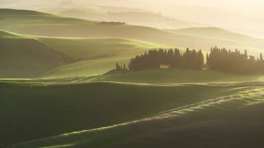 Güneşin doğuşunda tepeler ve selvi ağaçları olan puslu kırsal alan. Volterra, Toskana bölgesi, İtalya, Avrupa