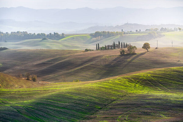 Misty countryside landscape with rolling hills and trees. Volterra, Tuscany region, Italy, Europe