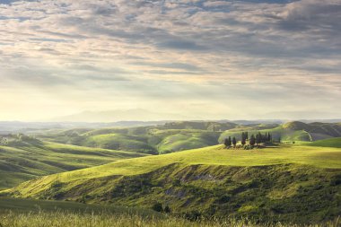 Kırsal alan, yuvarlanan tepeler ve gün batımında yeşil alanlar. Volterra, Toskana bölgesi, İtalya, Avrupa