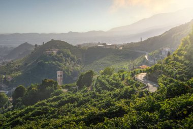 Üzüm bağları ve Prosecco Hills 'te bir yol. Unesco Dünya Mirası Alanı. Valdobbiadene, Veneto bölgesi, İtalya