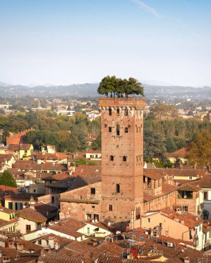 Şehrin Lucca hava manzarası ve ortaçağ Guinigi kulesi ve tepesindeki ağaçlar. Toskana bölgesi, İtalya, Avrupa.