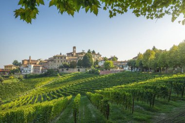 Üzüm bağları ve Neive köyü ve Langhe bölgesinde bir çerçeve olarak ayrılıyor. Unesco Dünya Mirası Bölgesi, Piedmont Bölgesi, İtalya, Avrupa.