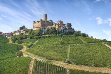 Langhe vineyards landscape and Castiglione Falletto village on the top of the hill, Unesco World Heritage Site, Piemonte region, Italy, Europe.