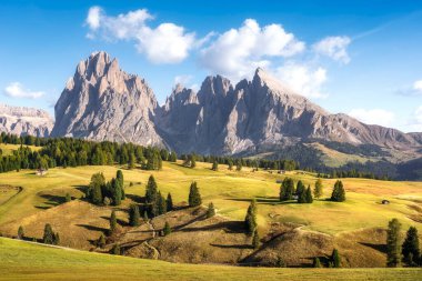 Alpe di Siusi veya Seiser Alm, Dolomites Alps Sassolungo ve Sassopiatto dağları, Trentino Alto Adige Güney Tyrol bölgesi, İtalya, Avrupa