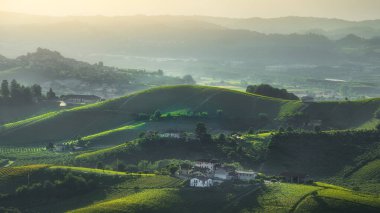 Langhe üzüm bağları Roddi ve San Cassiano, Alba 'da günbatımında manzara ve şaraphaneler. Piedmont bölgesi, İtalya