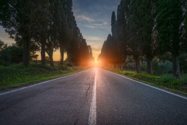 The cypress tree-lined avenue of Bolgheri and the sun in the middle. This is the historic boulevard of Carducci's poetry Davanti San Guido. Alta Maremma, Tuscany region, Italy, Europe.