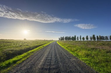 Maremma 'da gün batımı manzarası. Bibbona ve Bolgheri arasındaki kırsal kesimde kırsal yol ve selvi ağaçları. Toskana bölgesi, İtalya