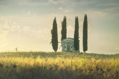 Small abandoned San Pierino church with four cypress trees near Ponsacco. Province of Pisa, Tuscany region, Italy clipart