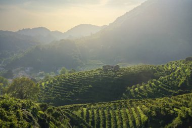 Prosecco Hills 'in üzüm bağları ve günbatımında Unesco Dünya Mirası Bölgesi' nde kır kulübeleri. Valdobbiadene, Veneto bölgesi, İtalya