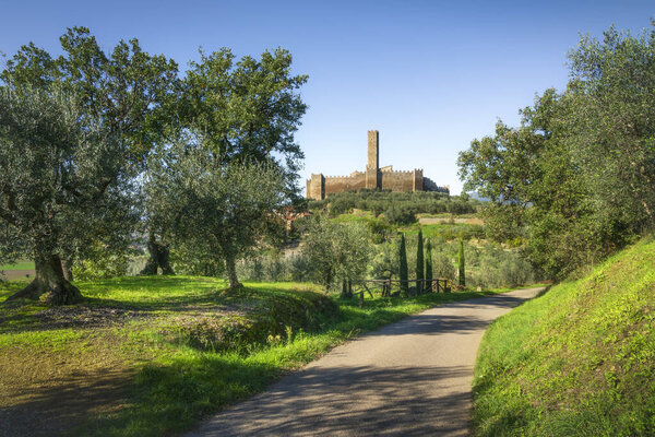Замок Монтеккьо Веспони на фоне проселочной дороги среди оливковых деревьев. Montecchio, Castiglion Fiorentino, province of Fazzo, Tuscany region, Italy