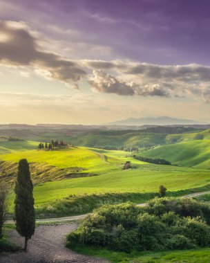 Kırsal alan, yuvarlak tepeler, kırsal yol ve gün batımında yeşil alanlar. Volterra, Toskana bölgesi, İtalya, Avrupa
