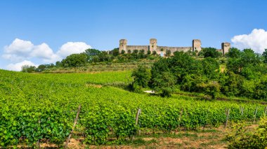 Monteriggioni ortaçağ güçlendirilmiş köy ve üzüm bağları, Francigena yolu. Siena ili, Toskana bölgesi, İtalya, Avrupa.