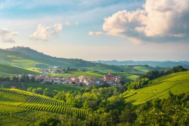 Langhe üzüm bağları gün batımında, Barolo ve La Morra köyleri arka planda, Unesco Dünya Mirası Alanı, Piedmont bölgesi. İtalya, Avrupa.