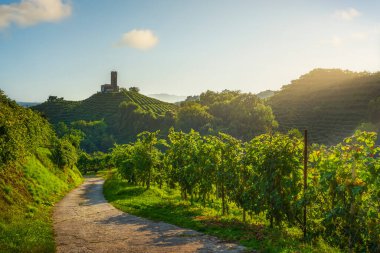 Prosecco Hills, üzüm bağları, köy yolu ve tepenin üstündeki San Lorenzo kilisesi. Unesco Dünya Mirası Alanı. Farra di Soligo. Veneto bölgesi, İtalya, Avrupa.