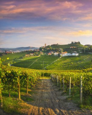 Barbaresco köyü ve Langhe üzüm bağları, Unesco Sitesi, Piedmont, Kuzey İtalya Avrupa.