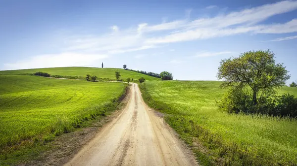 Torrenieri ve Buonconvento arasındaki Via Francigena yolu, Siena ili, Toskana bölgesi, İtalya, Avrupa