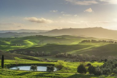 Kırsal alan, yuvarlanan tepeler, küçük göl, selvi ağaçları ve gün doğumunda zeytin ağaçları. Volterra, Toskana bölgesi, İtalya, Avrupa