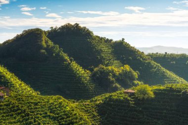 Gün batımında Prosecco tepelerinde üzüm bağları ve küçük bir kır evi. Unesco Dünya Mirası Bölgesi. Valdobbiadene, Veneto bölgesi, İtalya