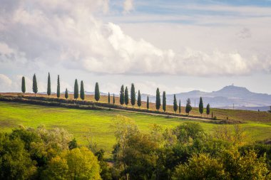 Arka planda selvi ağaçları ve Radicofani köyü olan yol. Val d 'Orcia, Siena ili, Toskana bölgesi, İtalya