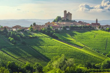 Langhe üzüm bağları ve şatosu olan Serralunga d 'Alba köyü. Unesco Dünya Mirası Bölgesi. Piedmont bölgesi, İtalya, Avrupa.