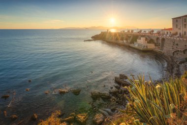 Piombino, view of Piazza Bovio and the lighthouse at sunset, Elba island in the background and some vegetation in the foreground. Maremma, province of Livorno, Tuscany region, Italy clipart