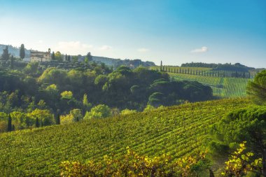 Sonbaharda Chianti üzüm bağları, ağaçlar ve Sant 'Angelo bir Vico l' Abate kilisesi. San Casciano Val di Pesa, Floransa ili, Toskana bölgesi, İtalya, Avrupa.
