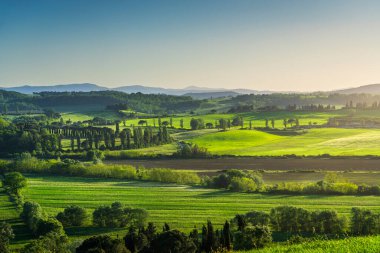 Francigena Yolu 'ndan Buonconvento kırsalının panoramik manzarası. Siena, Tuscany bölgesindeki manzara, İtalya, Avrupa