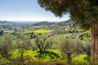 Kırsal kesimden tarihi Castiglion Fiorentino kasabası manzarası. Arezzo ili, Toskana bölgesi, İtalya