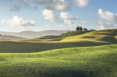 Lajatico kırsalında yuvarlanan tepeler. Pisa ili, Toskana bölgesi, İtalya